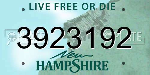 3923192 New Hampshire License Plate