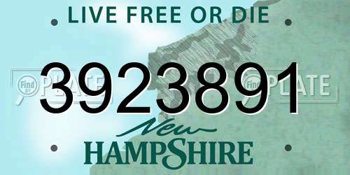3923891 New Hampshire License Plate