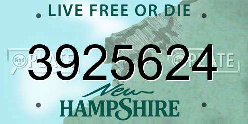 3925624 New Hampshire License Plate