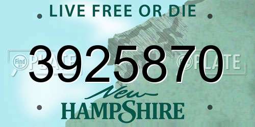 3925870 New Hampshire License Plate