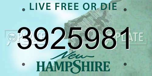 3925981 New Hampshire License Plate