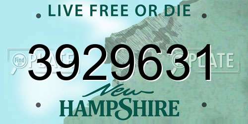 3929631 New Hampshire License Plate