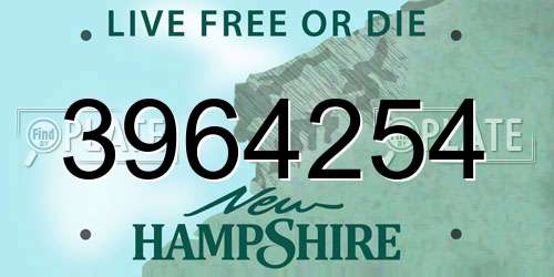 3964254 New Hampshire License Plate