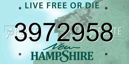 3972958 New Hampshire License Plate