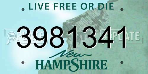 3981341 New Hampshire License Plate