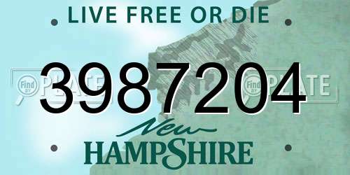 3987204 New Hampshire License Plate