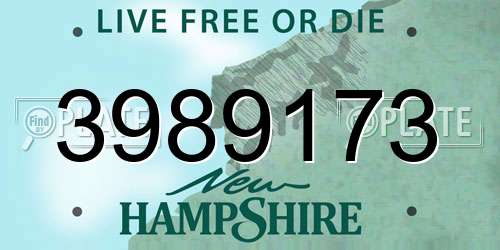 3989173 New Hampshire License Plate