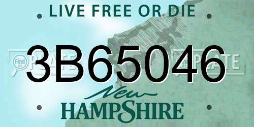 3B65046 New Hampshire License Plate