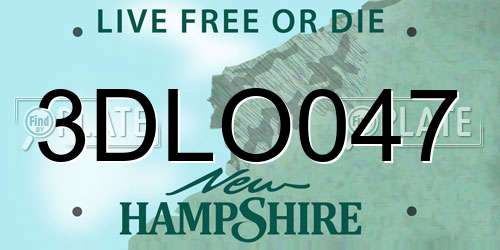 3DLO047 New Hampshire License Plate