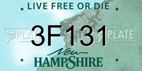 3F131 New Hampshire License Plate