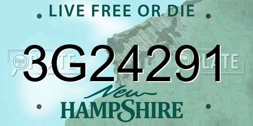 3G24291 New Hampshire License Plate