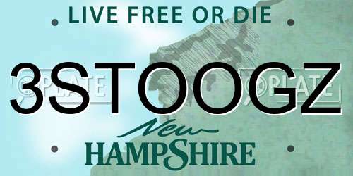 3STOOGZ New Hampshire License Plate