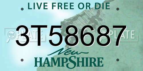 3T58687 New Hampshire License Plate
