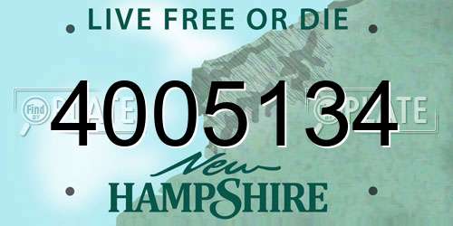 4005134 New Hampshire License Plate