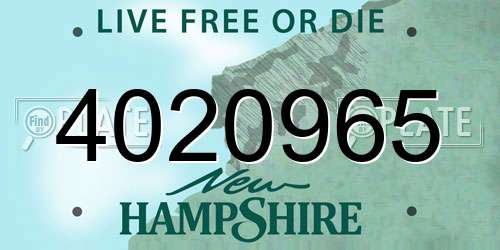 4020965 New Hampshire License Plate