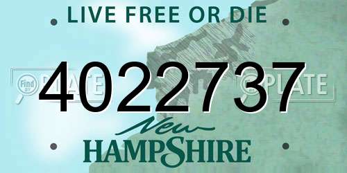4022737 New Hampshire License Plate