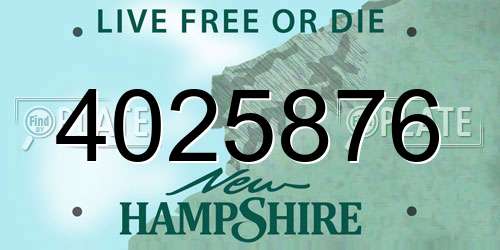 4025876 New Hampshire License Plate