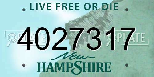 4027317 New Hampshire License Plate