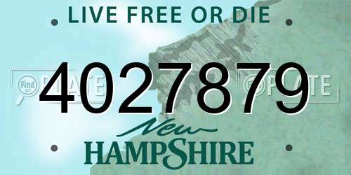 4027879 New Hampshire License Plate