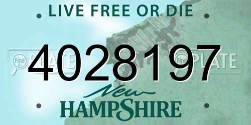 4028197 New Hampshire License Plate