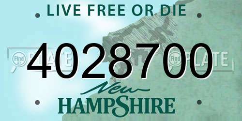 4028700 New Hampshire License Plate
