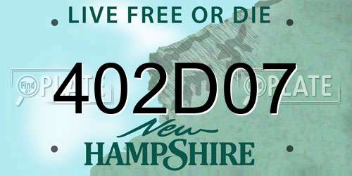 402D07 New Hampshire License Plate