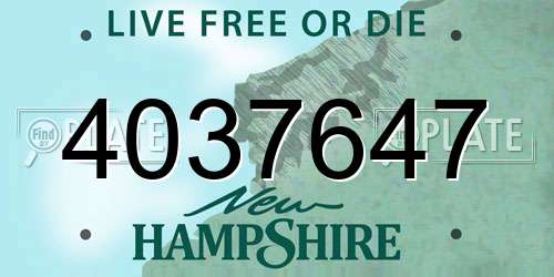 4037647 New Hampshire License Plate