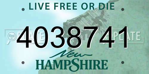 4038741 New Hampshire License Plate