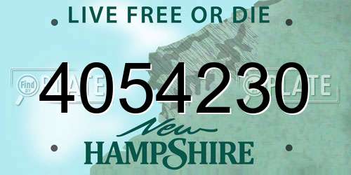 4054230 New Hampshire License Plate