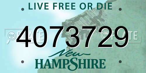 4073729 New Hampshire License Plate