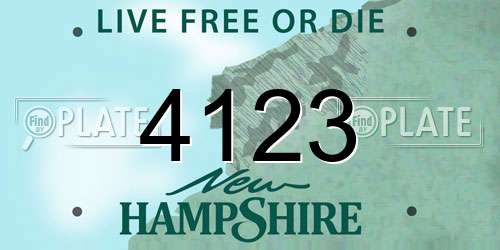 4123 New Hampshire License Plate