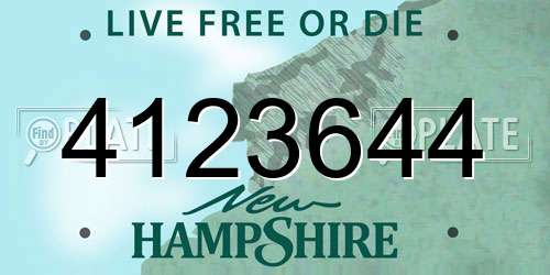 4123644 New Hampshire License Plate