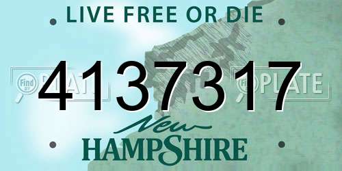 4137317 New Hampshire License Plate