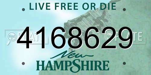 4168629 New Hampshire License Plate