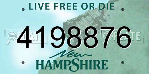 4198876 New Hampshire License Plate