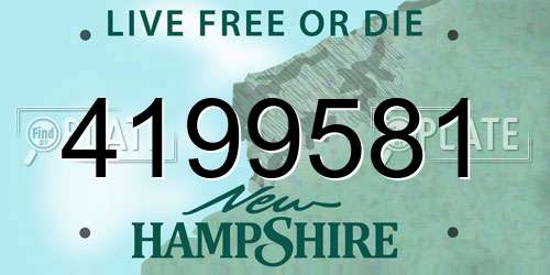 4199581 New Hampshire License Plate