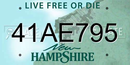 41AE795 New Hampshire License Plate