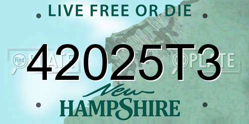 42025T3 New Hampshire License Plate