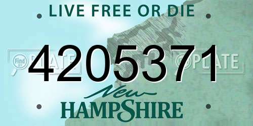 4205371 New Hampshire License Plate