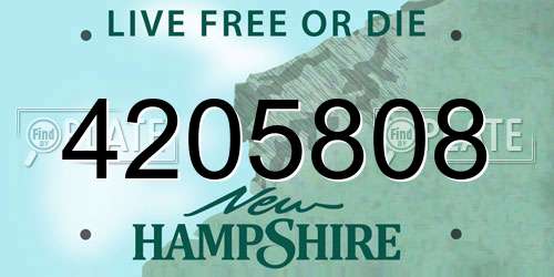 4205808 New Hampshire License Plate