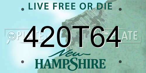 420T64 New Hampshire License Plate