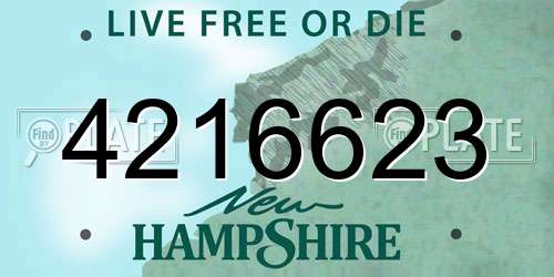 4216623 New Hampshire License Plate