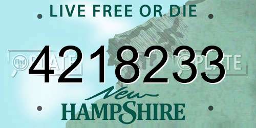 4218233 New Hampshire License Plate
