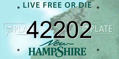 42202 New Hampshire License Plate