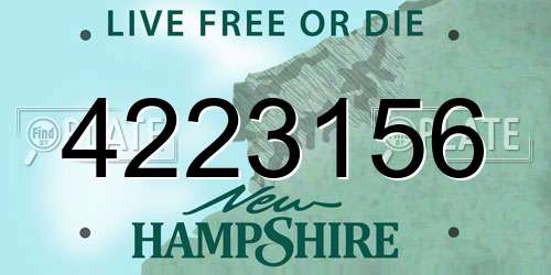 4223156 New Hampshire License Plate