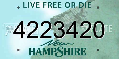 4223420 New Hampshire License Plate
