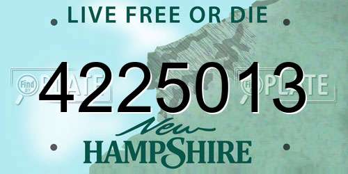 4225013 New Hampshire License Plate