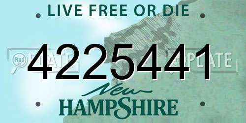 4225441 New Hampshire License Plate
