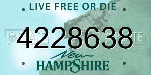 4228638 New Hampshire License Plate