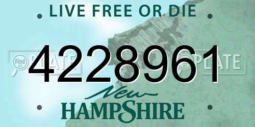 4228961 New Hampshire License Plate